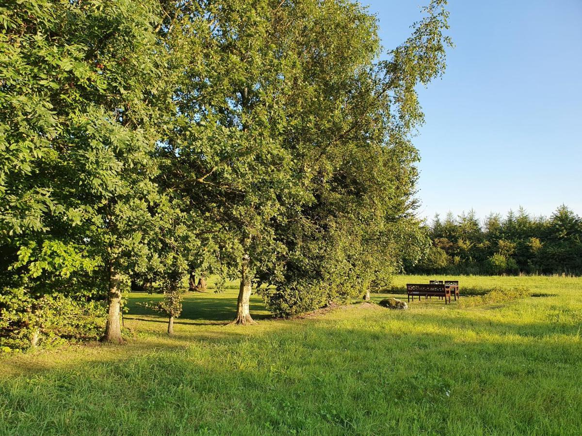 Solbjerg Skov B&B Exterior photo